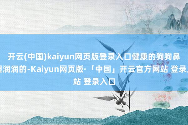开云(中国)kaiyun网页版登录入口健康的狗狗鼻子湿润润的