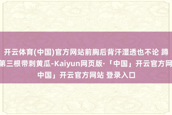   开云体育(中国)官方网站前胸后背汗湿透也不论 蹲在地里啃完第三根带刺黄瓜-Kaiyun网页版·「中国」开云官方网站 登录入口