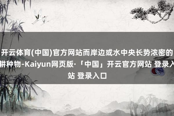 开云体育(中国)官方网站而岸边或水中央长势浓密的各耕种物-Kaiyun网页版·「中国」开云官方网站 登录入口