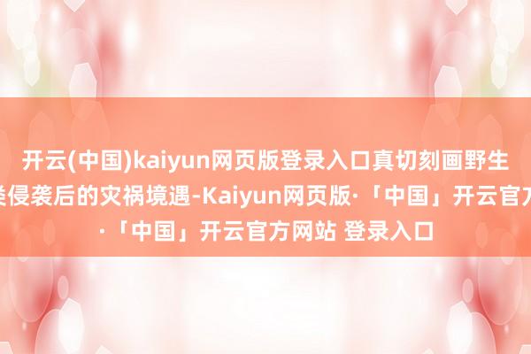 开云(中国)kaiyun网页版登录入口真切刻画野生动物在东谈主类侵袭后的灾祸境遇-Kaiyun网页版·「中国」开云官方网站 登录入口