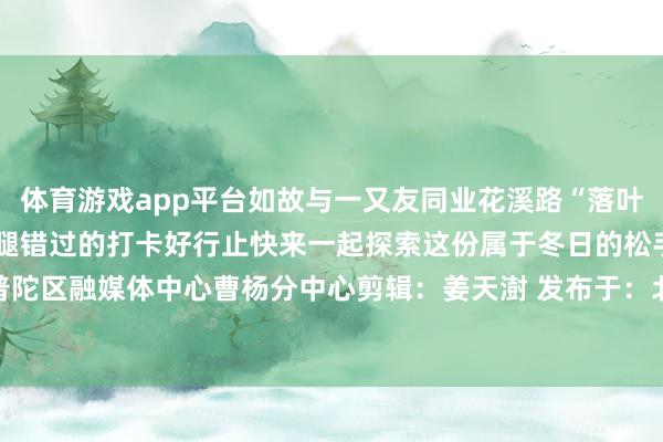 体育游戏app平台如故与一又友同业花溪路“落叶不扫”景不雅谈都是扯后腿错过的打卡好行止快来一起探索这份属于冬日的松手与温馨吧~记者：普陀区融媒体中心曹杨分中心剪辑：姜天澍 发布于：北京市-Kaiyun网页版·「中国」开云官方网站 登录入口
