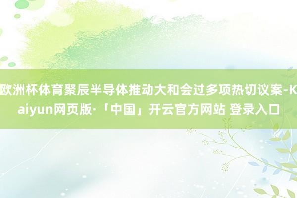 欧洲杯体育聚辰半导体推动大和会过多项热切议案-Kaiyun网页版·「中国」开云官方网站 登录入口