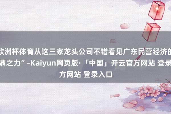 欧洲杯体育从这三家龙头公司不错看见广东民营经济的“扛鼎之力”