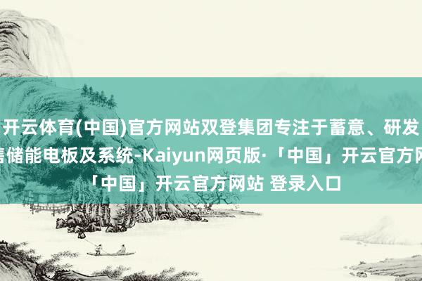 开云体育(中国)官方网站双登集团专注于蓄意、研发、制造和销售