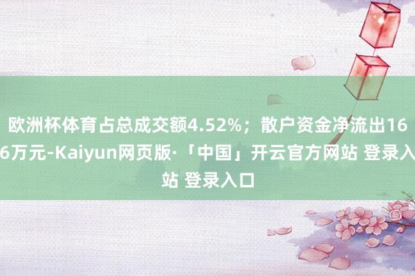   欧洲杯体育占总成交额4.52%；散户资金净流出165.6万元-Kaiyun网页版·「中国」开云官方网站 登录入口