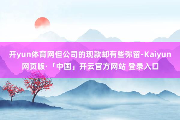 开yun体育网但公司的现款却有些弥留-Kaiyun网页版·「