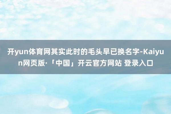 开yun体育网其实此时的毛头早已换名字-Kaiyun网页版·